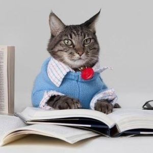 Meet your Posher, Cat